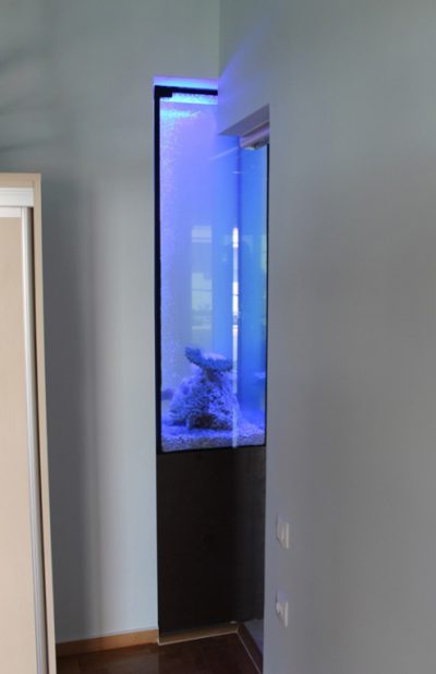 Enydreio 1 istoselida