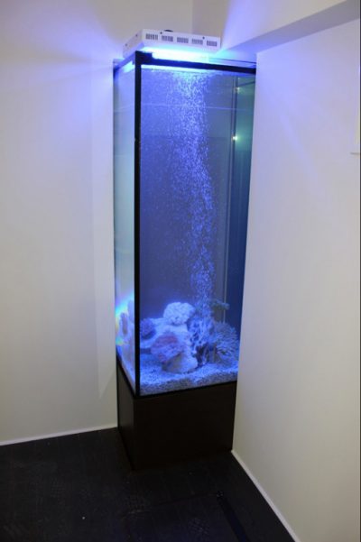 Enydreio 2 istoselida