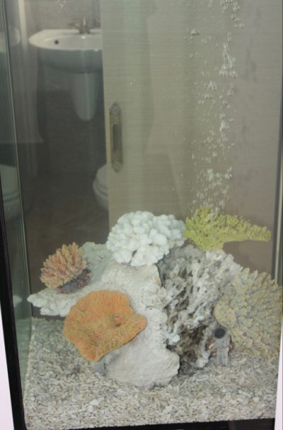 Enydreio 3 istoselida